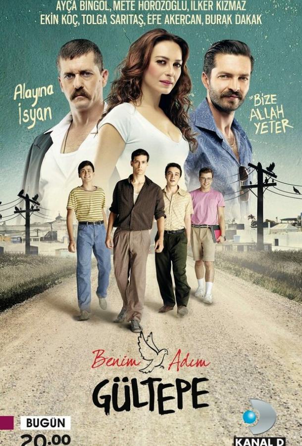 Усадьба госпожи (1 сезон, 2009) турецкий сериал
